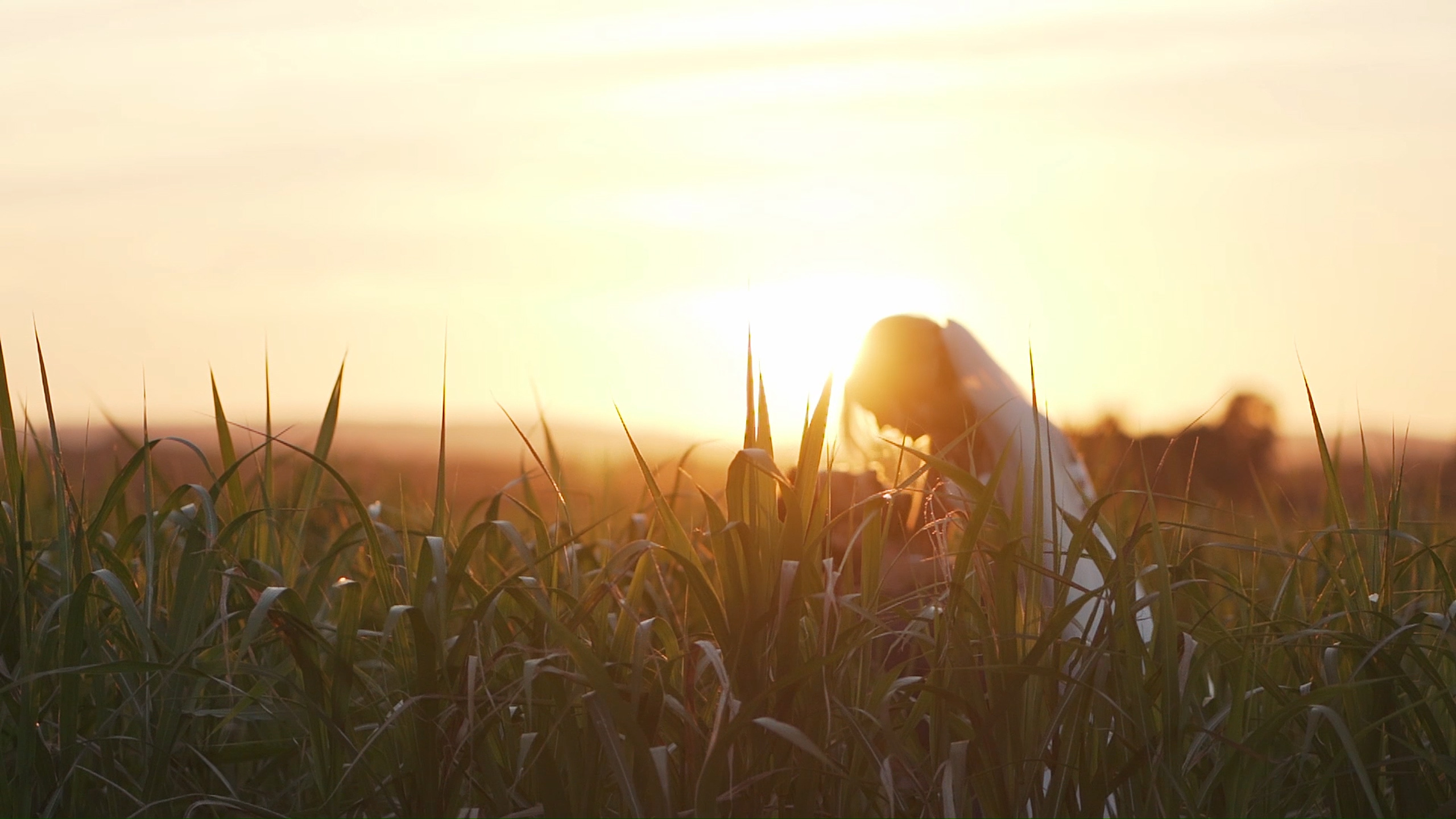 Jason Lynch Wedding Videos, Burton on Trent